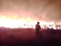 Об аварийно-спасательных работах, проведенных МКУ МО город Краснодар ПАСС «Служба спасения»